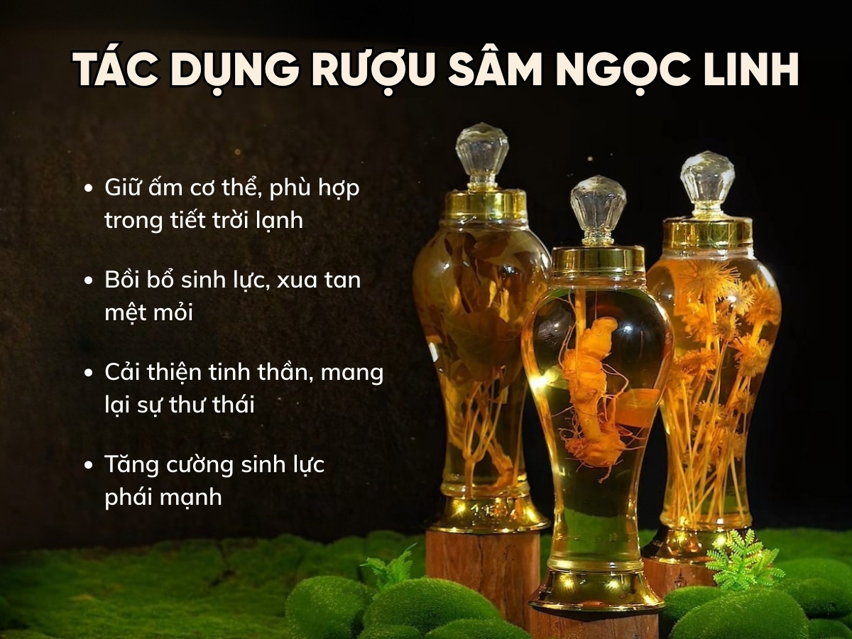 rượu sâm ngọc linh có tác dụng gì